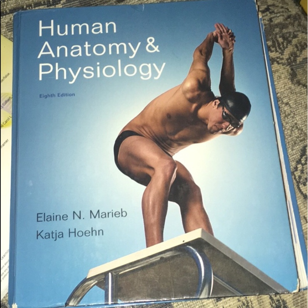 Human Anatomy & Physiology